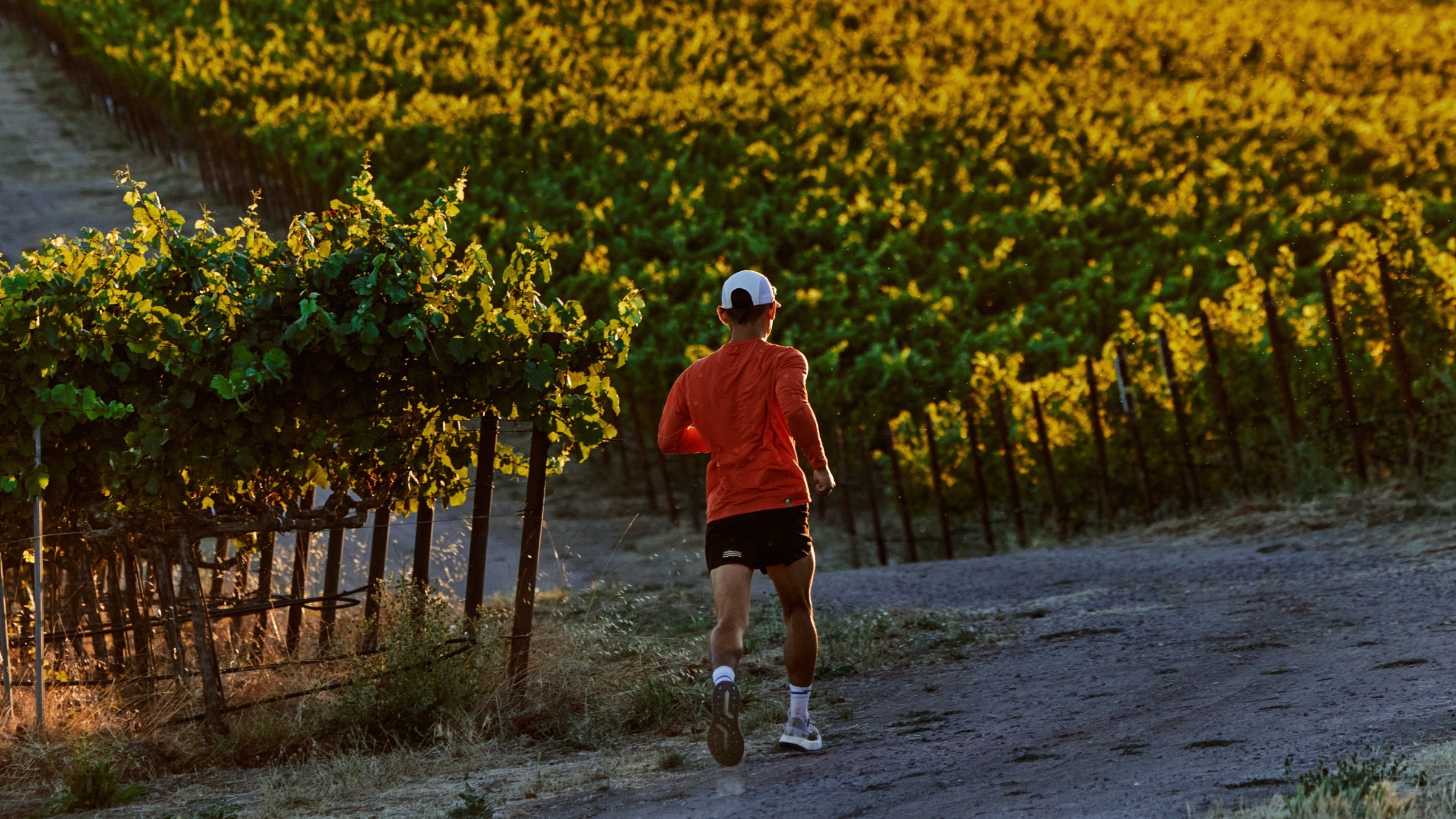Trail Running in Wine Country Brought the Joy Back to My Routine