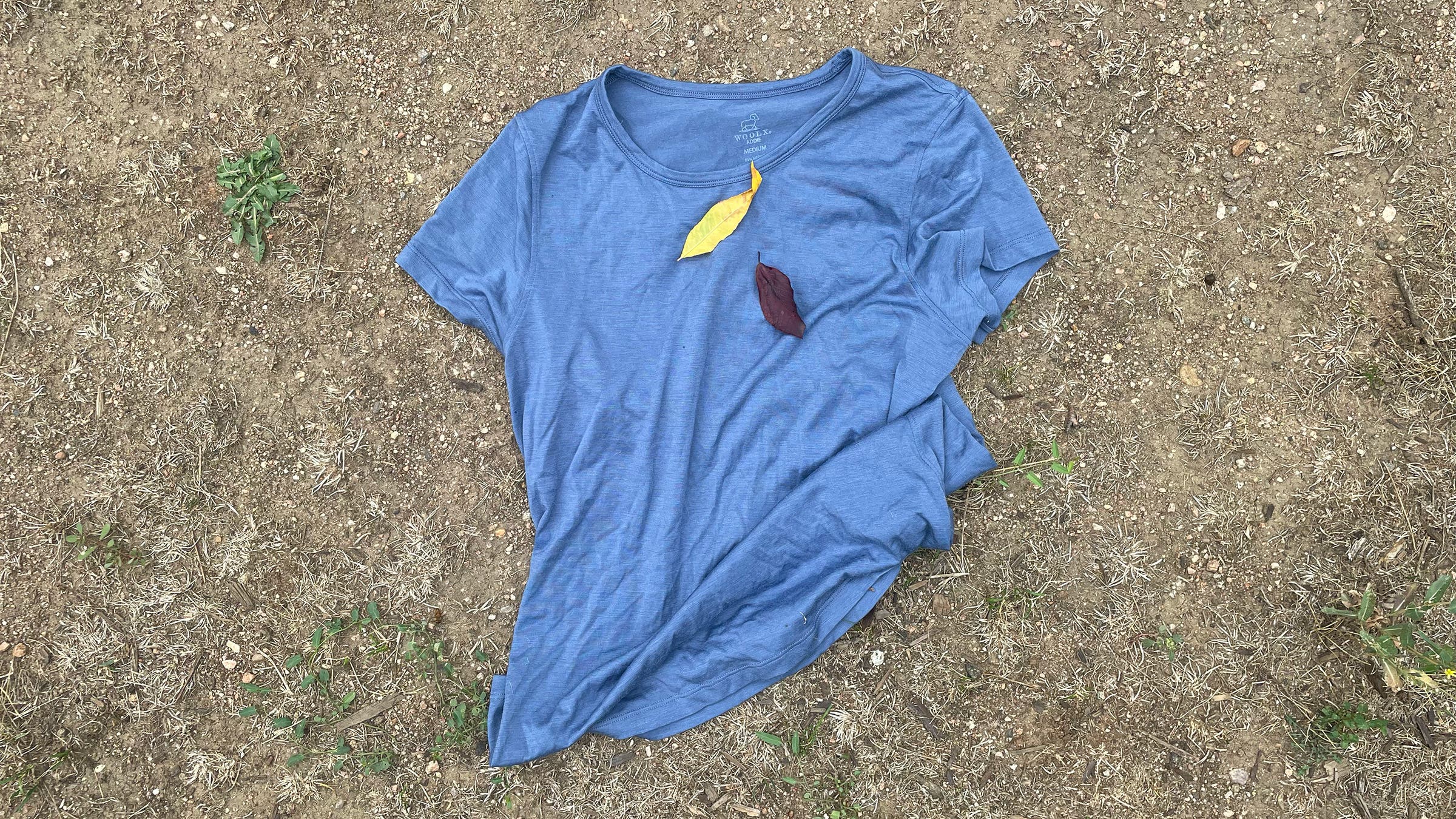 blue woolx running tee in fall leaves setting
