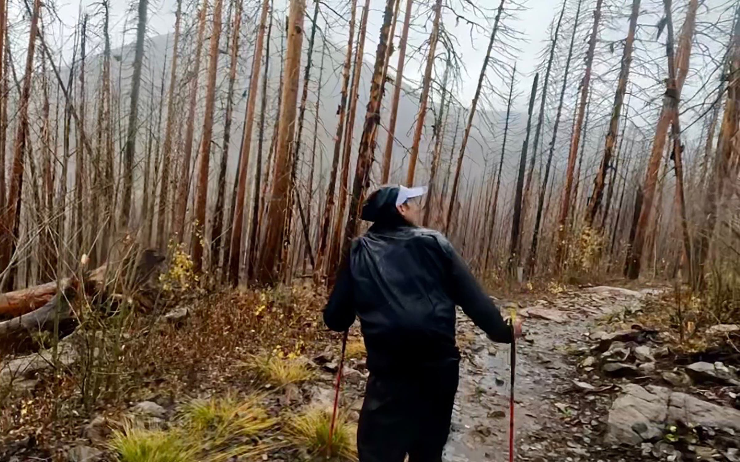 A runner navigates downed trees