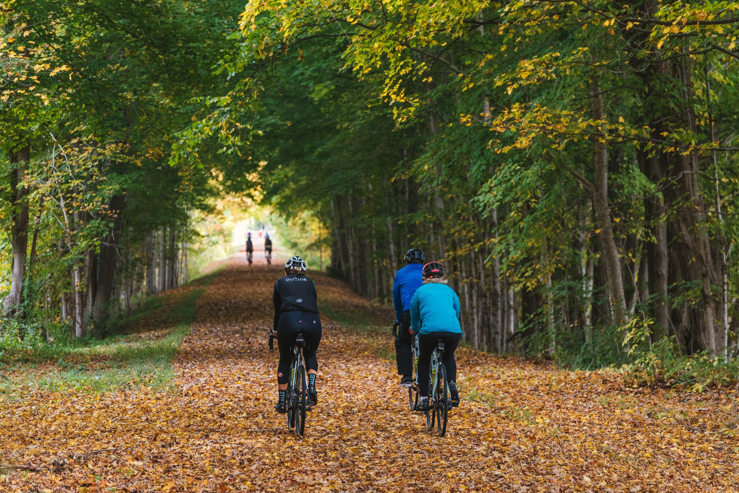 The Rise of Nostalgia Travel and Where to Experience It This Fall
