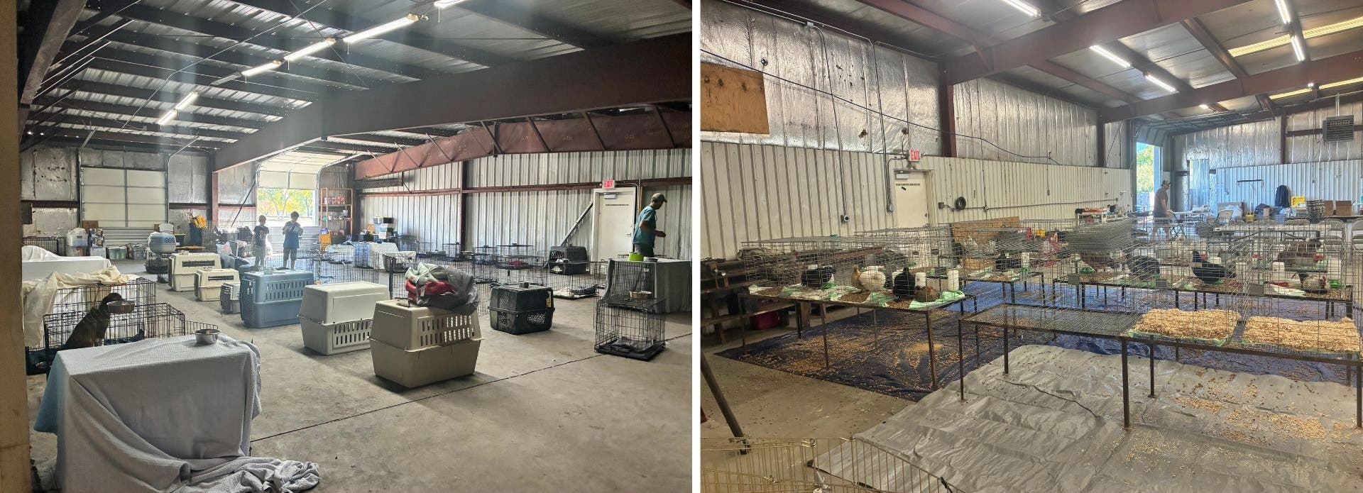 The Desert River Guides warehouse has been turned into a short-term emergency animal shelter, housing dozens of dogs, cats, chickens and rabbits