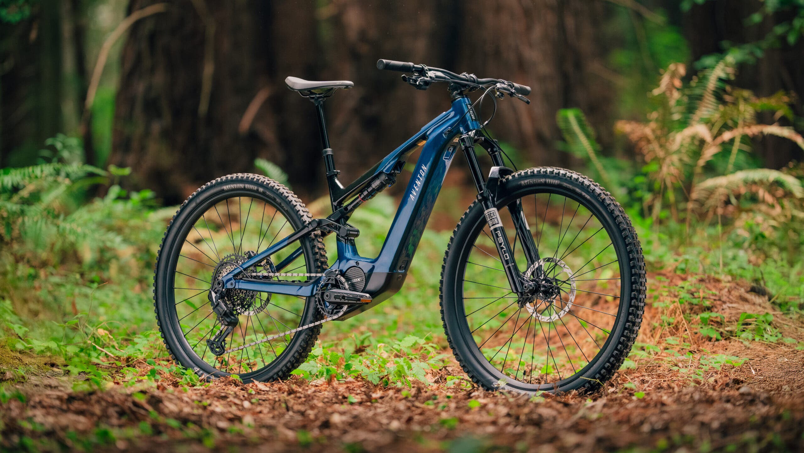 Time to Get Off the E-Mountain Bike Fence and Onto the Trail