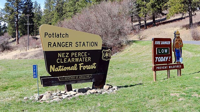 The Forest Service Planned to Move to Utah. A Federal Judge Just Stepped In.
