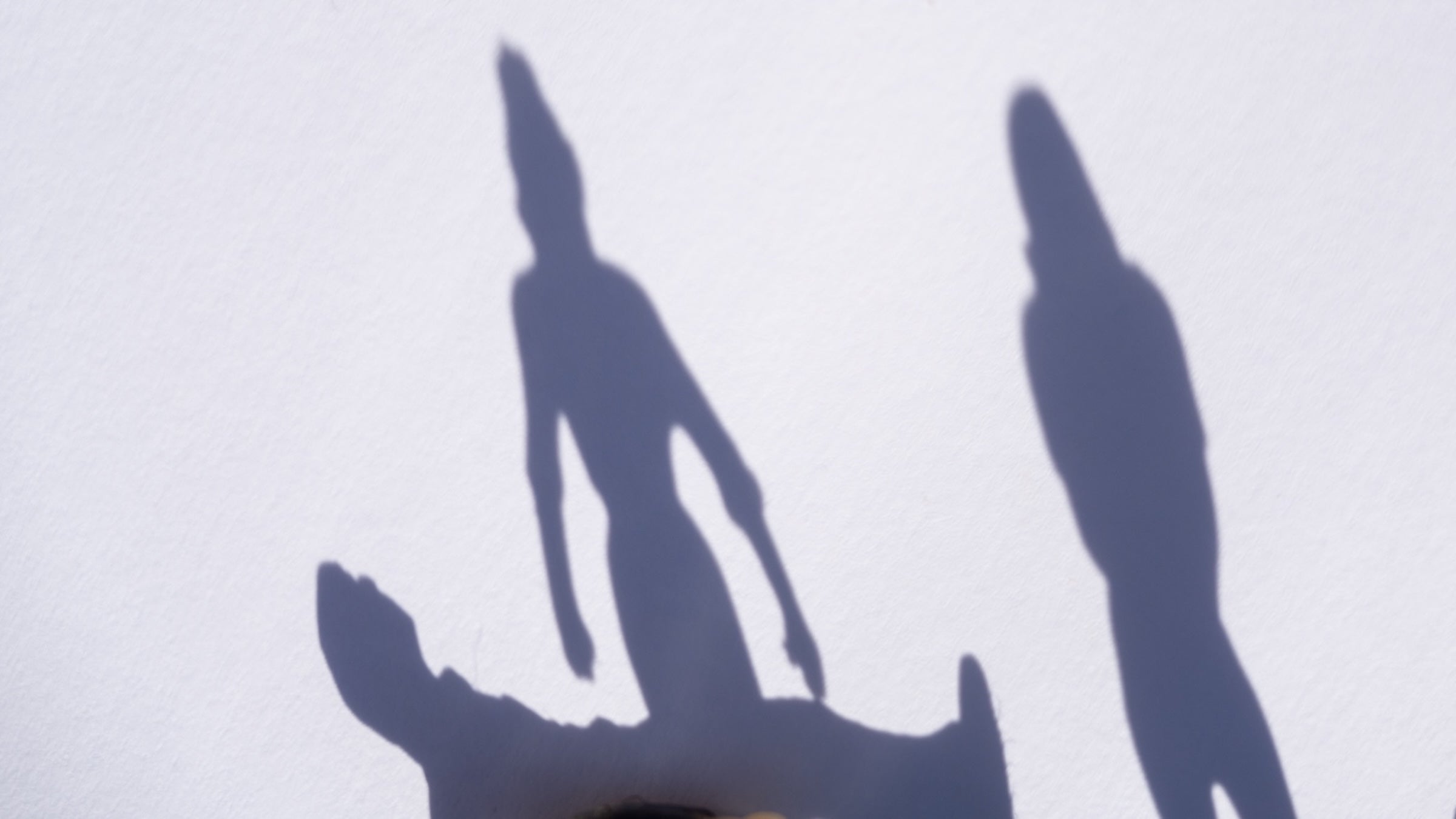 I Was Camping in the Alaskan Wilderness When Three Shadow Figures Appeared Outside My Tent