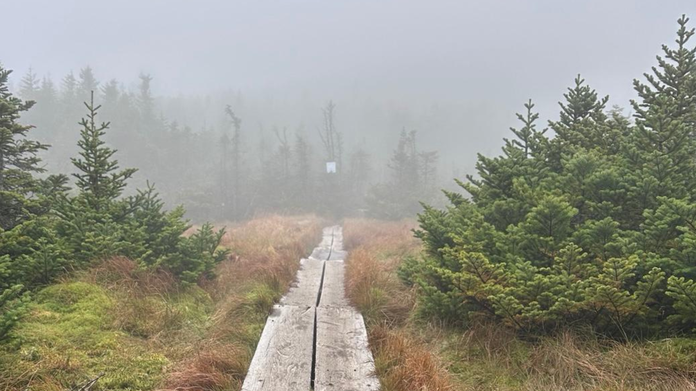 Mount Marcy in a storm