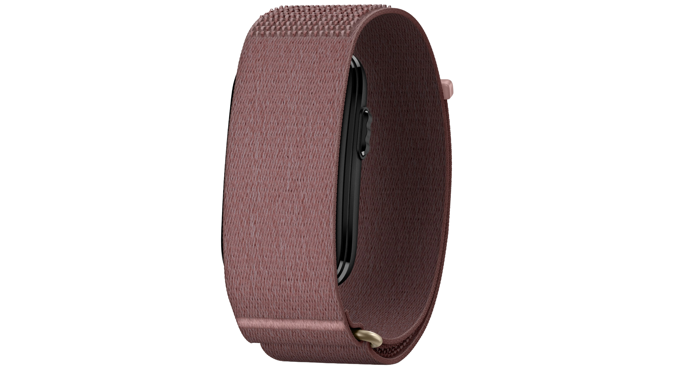 Garmin CIRQA Smart Band