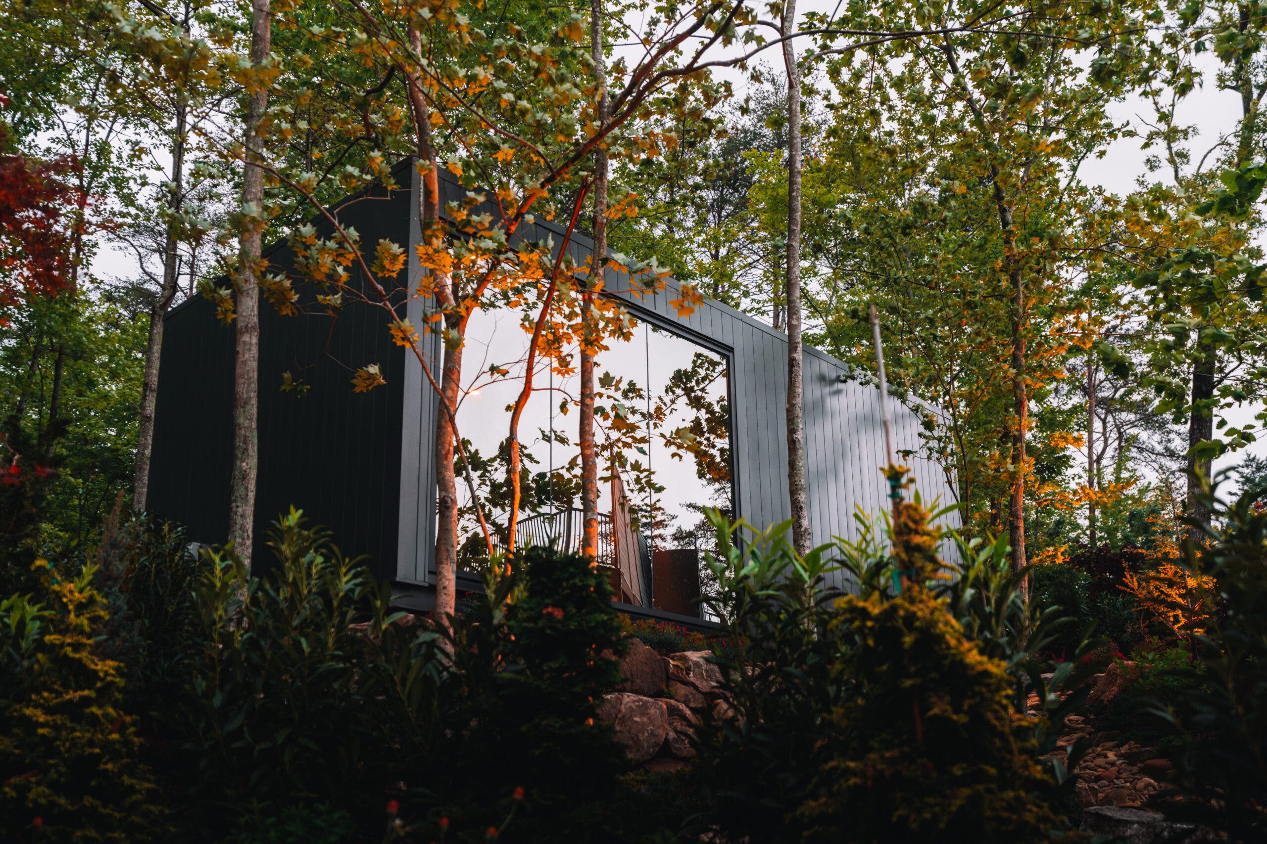 Bolt Treehouse