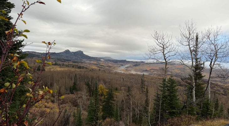 Mountain peaks rise above a broad valley of autumn-colored aspens and evergreen trees beneath a cloudy sky in northwest Colorado