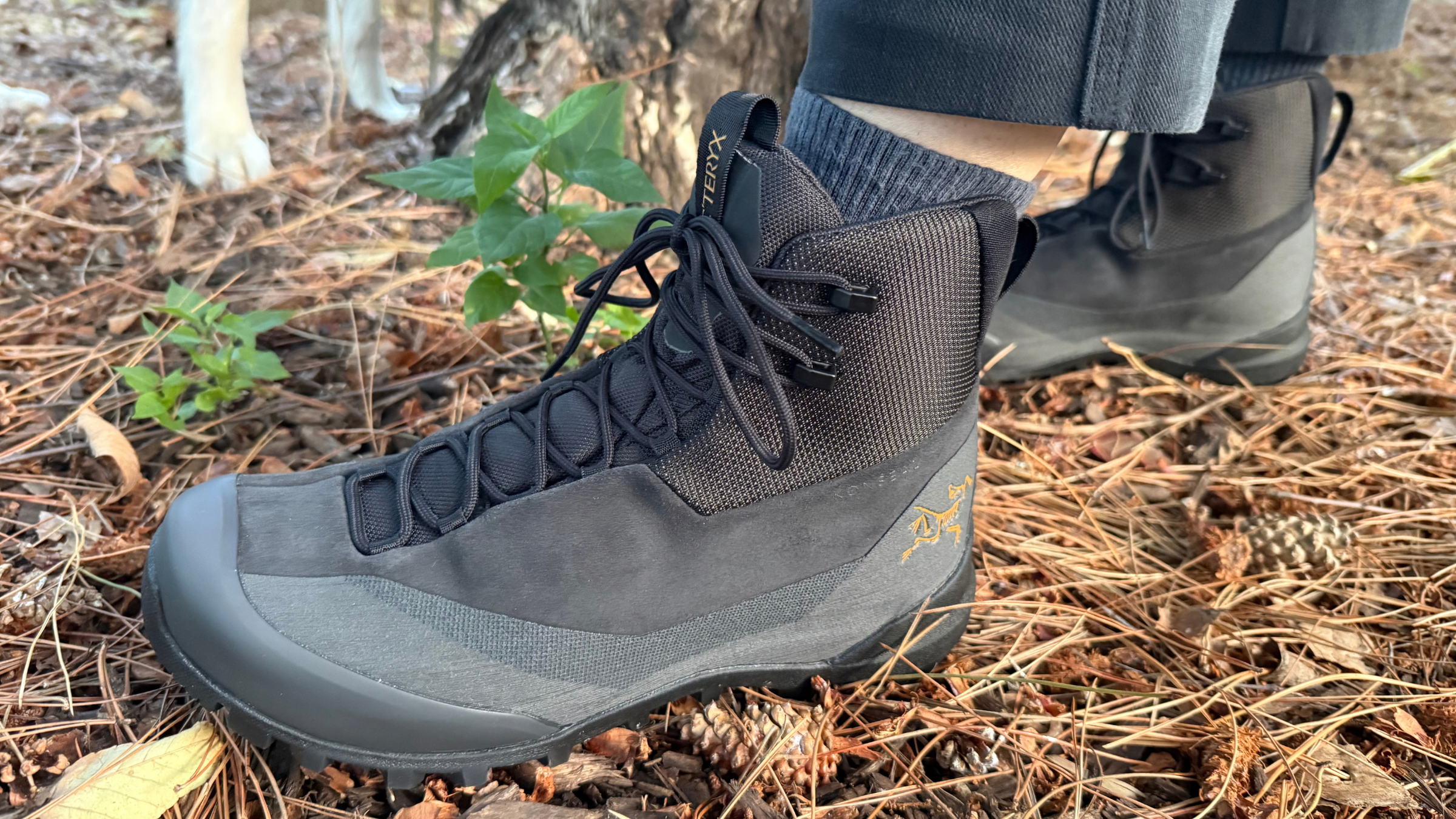 The 7 Best Hiking Boots for Weak Ankles in 2026