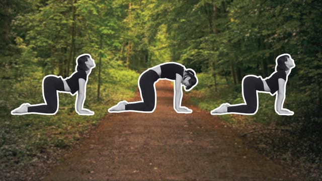 The Recovery Routine Dancers Swear By Can Help Hikers Heal, Too