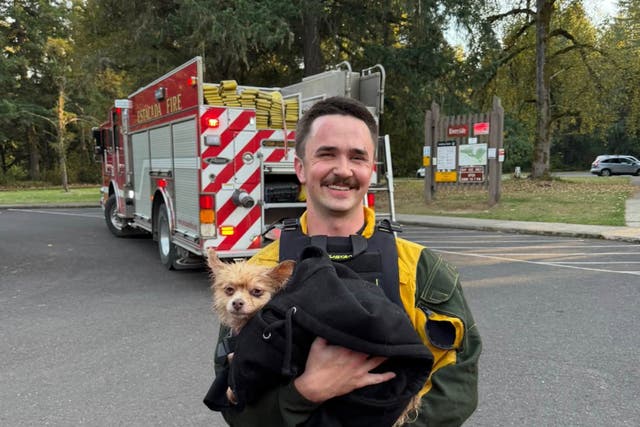 “Gizmo Probably Wouldn’t Be with Us Today.” How a Life Jacket Saved a Dog in an Oregon River.