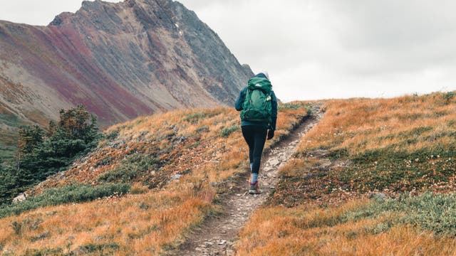 A Psychologist Explains Why Willpower Fails and How Habit Stacking Makes Routines Stick