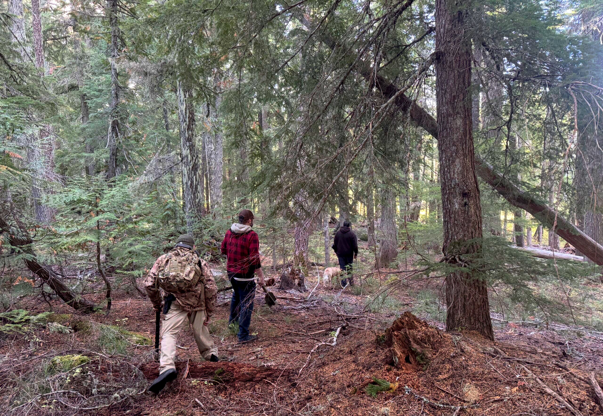 The Pacific Northwest Bigfoot Search hikes into the woods