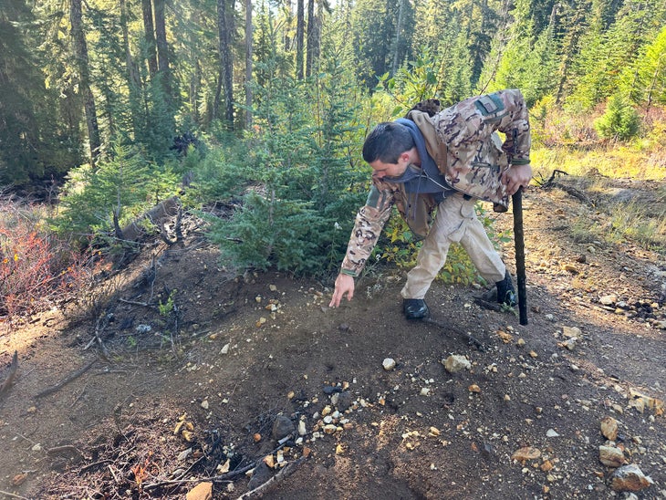 Hoskins points to tracks in the dirt