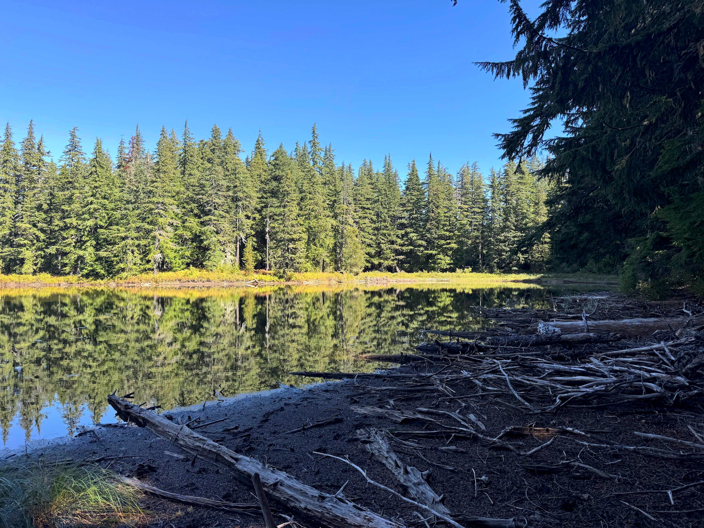 lake in shadows