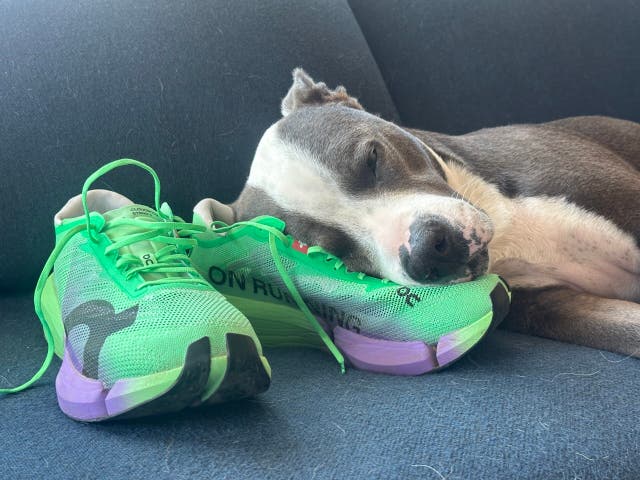These Are the 10 Marathon Shoes Our Testers Trust on Race Day