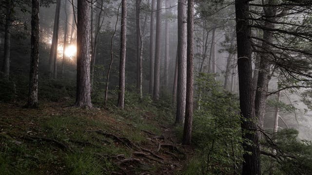 I Grew Up Near 54-Mile Ghost Town Trail. Here Is What Happens After Dark.