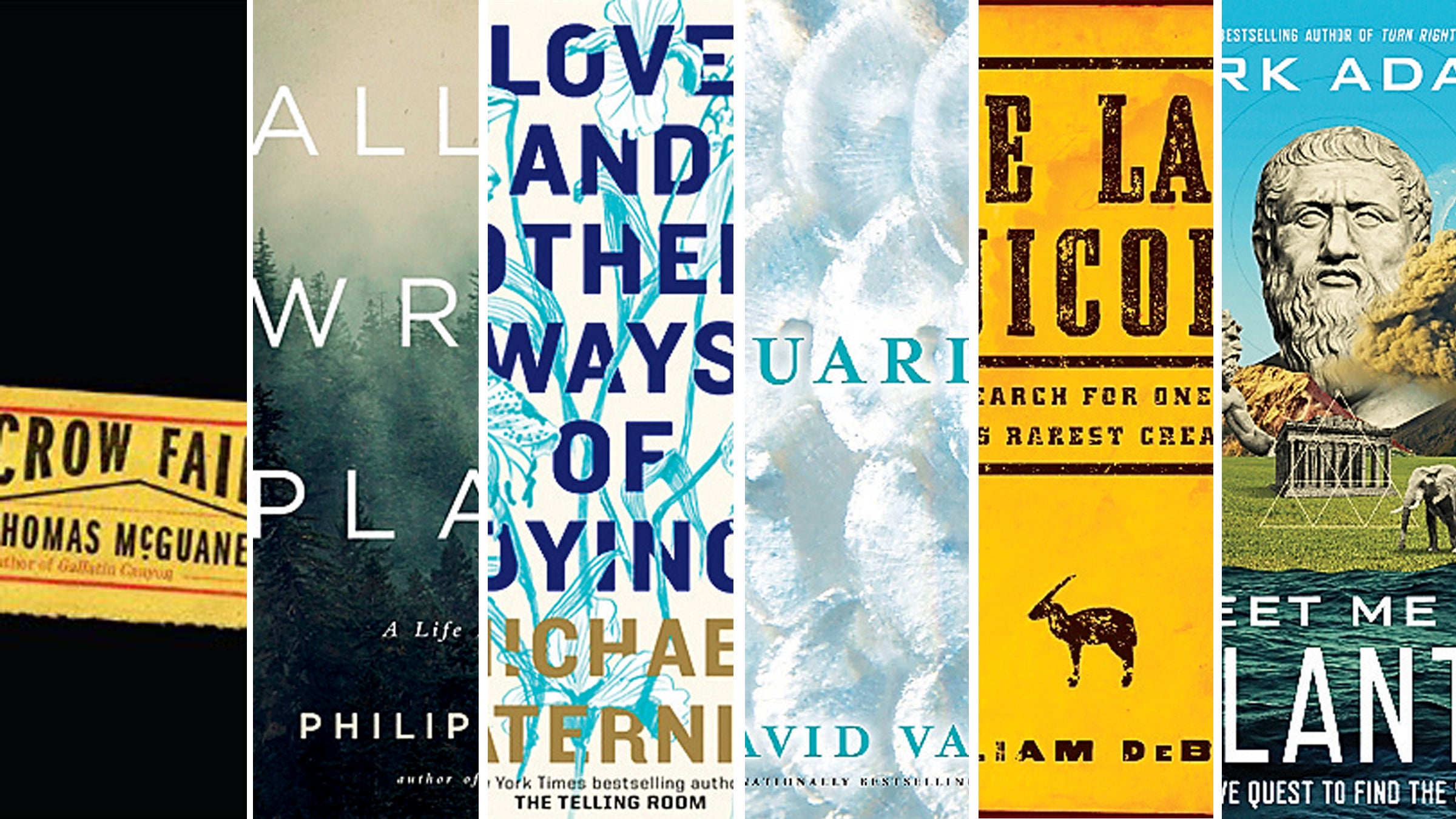 New books for winter-spring limbo. From left to right: Crow Fair, The Last Unicorn, Meet Me in Atlantis, Love and Other Ways of Dying, Aquarium, and All the Wrong Places.