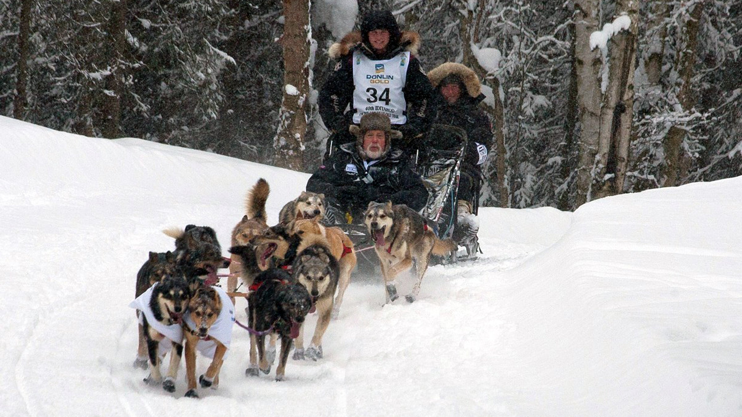 2012 Iditarod 2012 Iditarod Ceremonial Start Anchorage Dog Dog Mushing Iditarod Mushers alaska