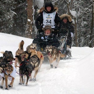 2012 Iditarod 2012 Iditarod Ceremonial Start Anchorage Dog Dog Mushing Iditarod Mushers alaska