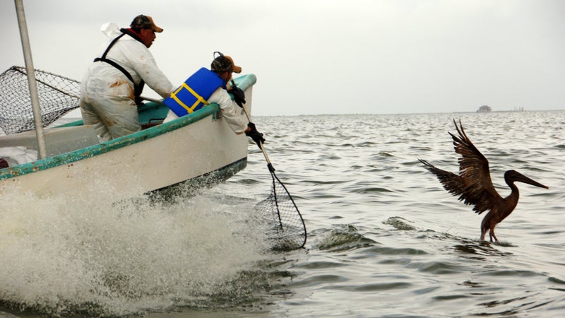 Pelican Grand Isle deepwater horizon Fort Jackson John Miller