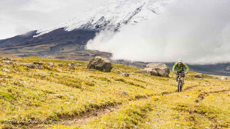 Andes Ecuador South America birds birdwatching tour tourism