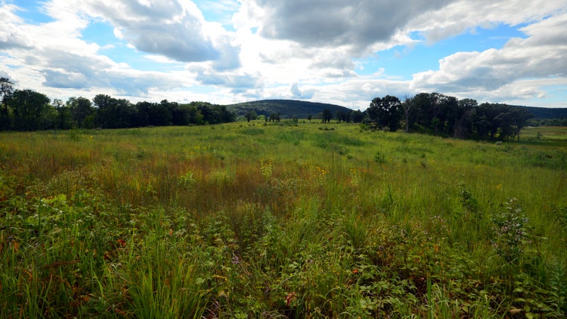 blue sky clouds iata ice age national scenic trail ice age trail merrimac preserve merrimac segment national scenic trail nikon nikon d7000 prairie riverland conservancy sauk county sigma 10-20mm f/4 ex dc hsm sky