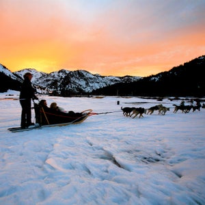 The Iditarod established mushing as a popular recreational activity in Alaska—and it's the face of the sport for most of us.
