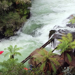Louise Jull was with a group of kayakers near Okere Falls on the Kaituna River when she became separated.