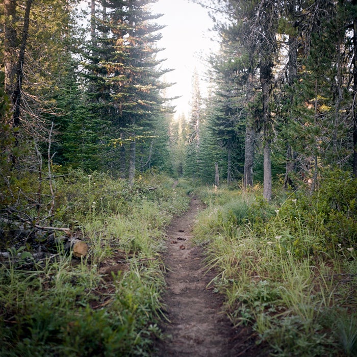 Pacific Crest Trail PCT outdoor photography outside online Wild movie reese witherspoon