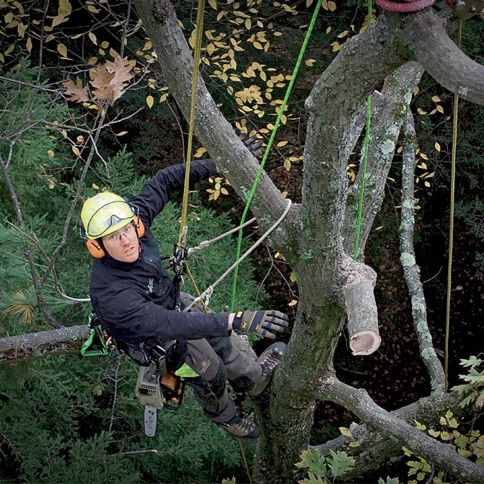 Arbor One Buckingham Ed Carpenter Ergovation Freesolo Photography. www.frees NEISA Sterling Sterling Rope VT Vermont Youngstown Gloves arborculture arborist rope access arborist job find how apply