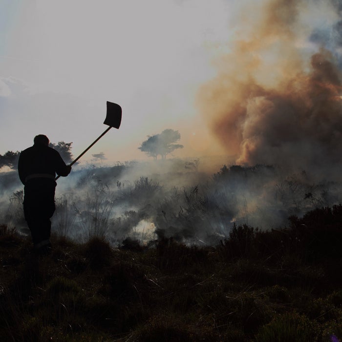 early job wildfire firefighter on call hotshot