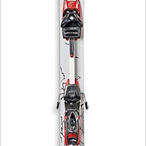 Fritschi Diamir Freeride Plus  Backcountry Ski Bindings: Reviews