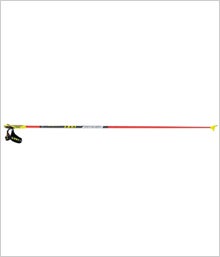 Leki Super Shark Poles: Ski Poles Review