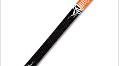 Dynastar Pro Rider – Alpine Skis: Reviews