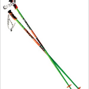 Scott Team Issue Pole - Poles: Reviews