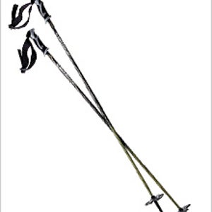 Black Diamond Fixed Length Pole - Poles: Reviews