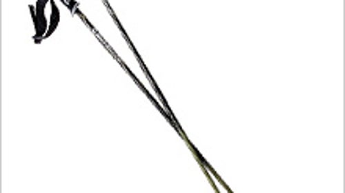 Black Diamond Fixed Length Pole - Poles: Reviews