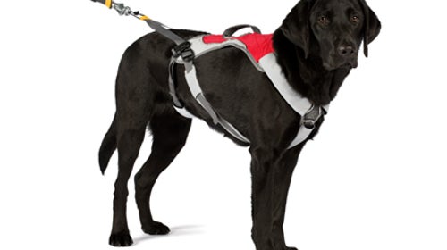 Ruff Wear OmniJore harness