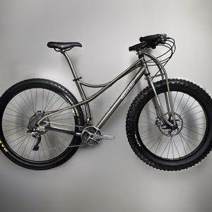 A titanium bike with swooping l