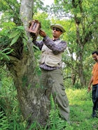 Firoz Ahmed installing a camera