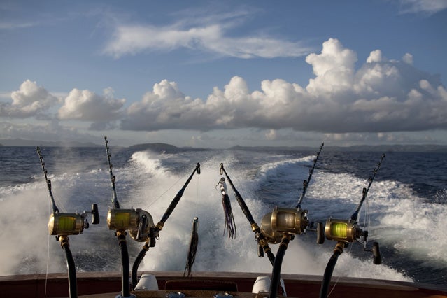 Fishing Poles Line the Ocean Surf Along the North Florida
