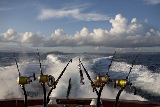 cloud with fishing pole 9 Rod Cloud is Dominions dedicated slow pitch jigging rod with carbon blank and integrated battery Fishing rod made of tree