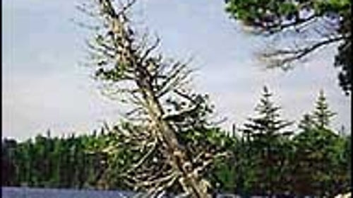 Full steam ahead: a portage-free peak at the Boundary Waters