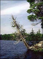 Full steam ahead: a portage-free peak at the Boundary Waters