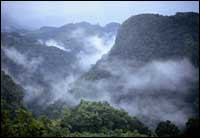 Knobby Land?: The (almost) unridable rainforest of Chiapas