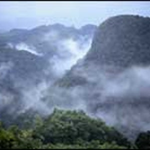 Knobby Land?: The (almost) unridable rainforest of Chiapas