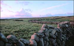 Trail trimmings: a winding stonewall in the Aran Islands