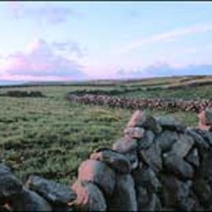 Trail trimmings: a winding stonewall in the Aran Islands