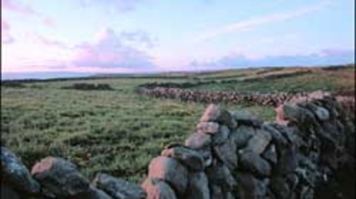 Trail trimmings: a winding stonewall in the Aran Islands